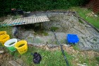 dsc00329.jpg