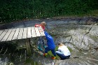 dsc00330.jpg