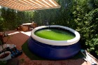 dsc00334.jpg