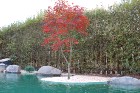 dsc_7271.jpg